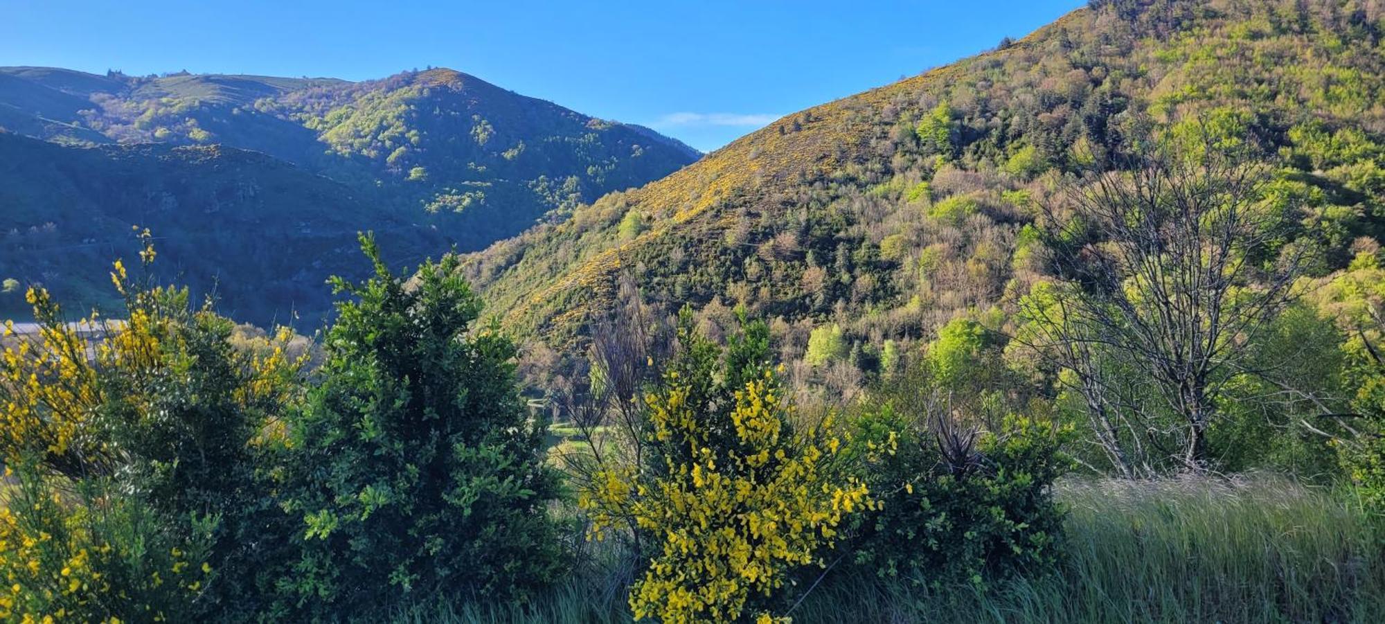 Apartmán Le Refuge De Rousses Exteriér fotografie
